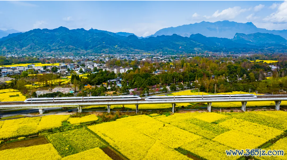 新城8