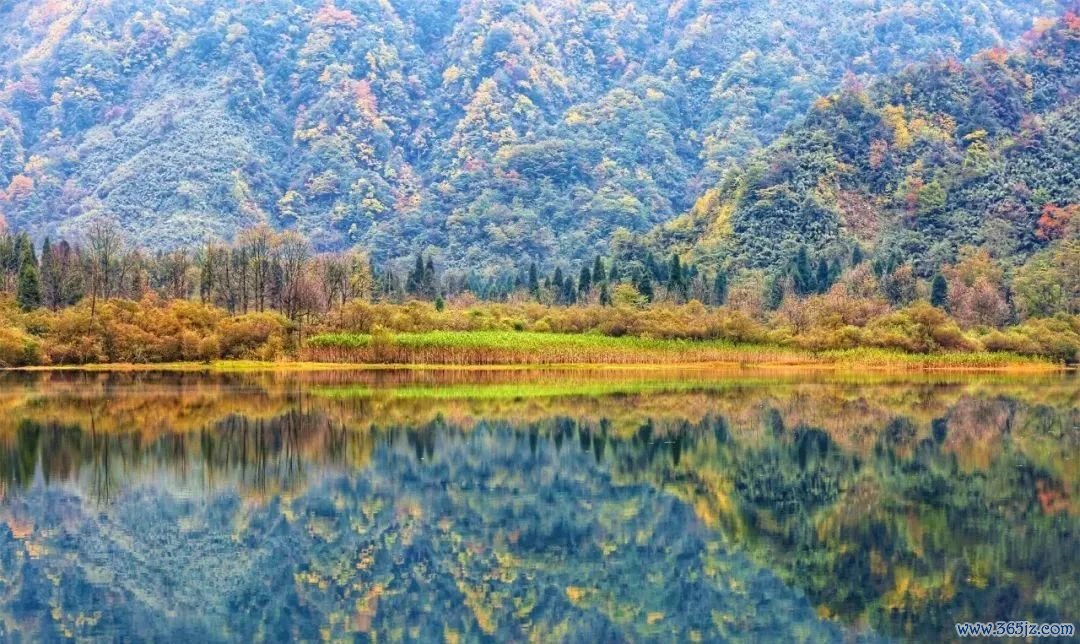 获利10