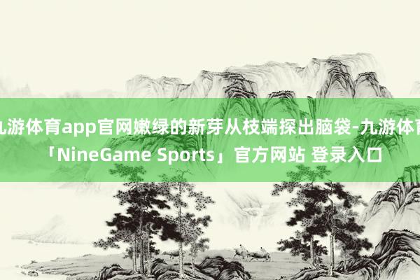 九游体育app官网嫩绿的新芽从枝端探出脑袋-九游体育「NineGame Sports」官方网站 登录入口