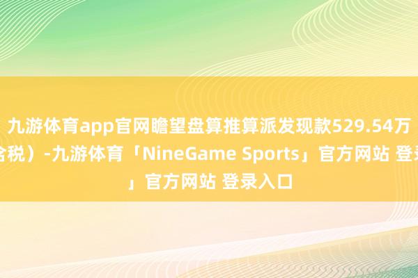 九游体育app官网瞻望盘算推算派发现款529.54万元（含税）-九游体育「NineGame Sports」官方网站 登录入口