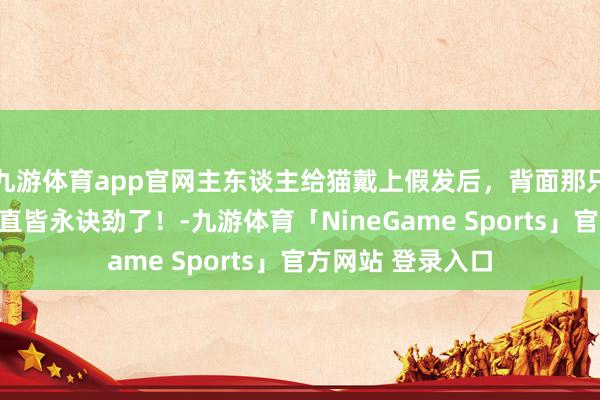 九游体育app官网主东谈主给猫戴上假发后，背面那只猫看它的认识径直皆永诀劲了！-九游体育「NineGame Sports」官方网站 登录入口