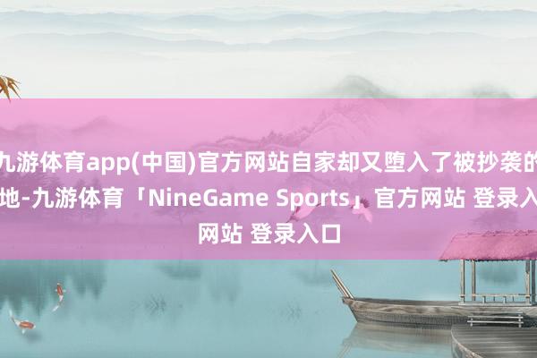 九游体育app(中国)官方网站自家却又堕入了被抄袭的境地-九