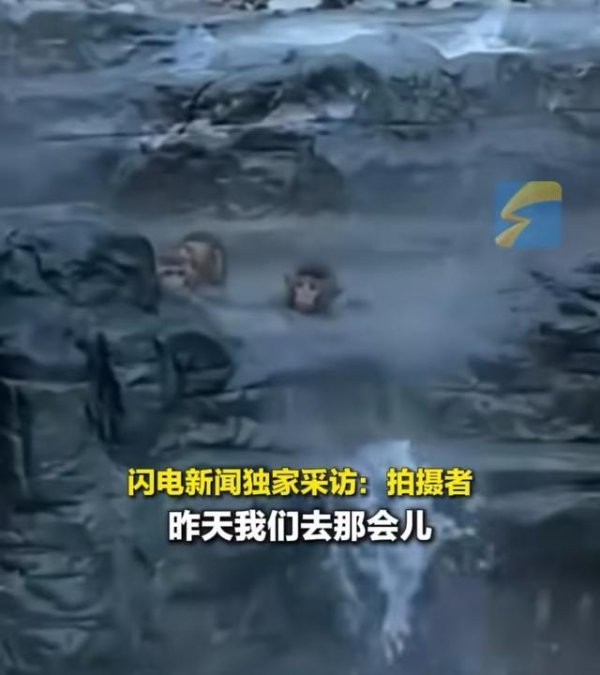 九游体育娱乐网你能假想吗？山公们不仅没因为寒天气瑟瑟发抖-九