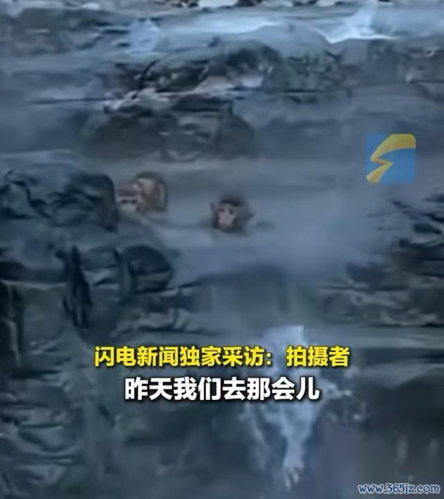 河南云台山山公泡温泉避寒，景区：自觉行径，网友评述笑不活了！