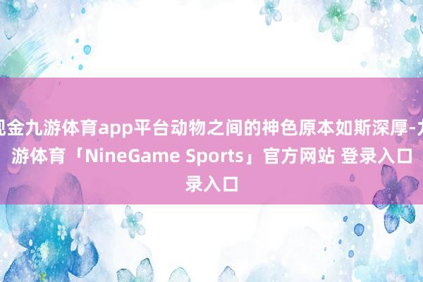 现金九游体育app平台动物之间的神色原本如斯深厚-九游体育「